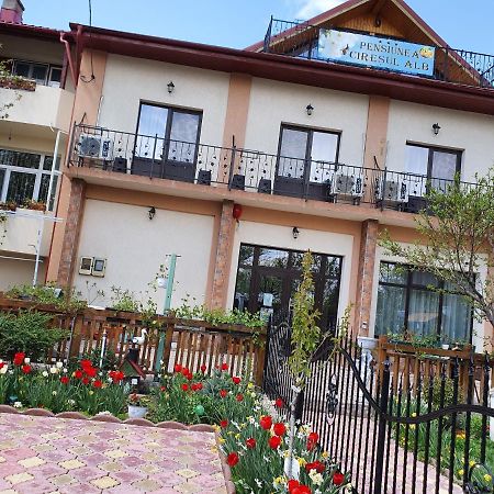 Pensiunea Ciresul Alb Tulcea Exterior foto