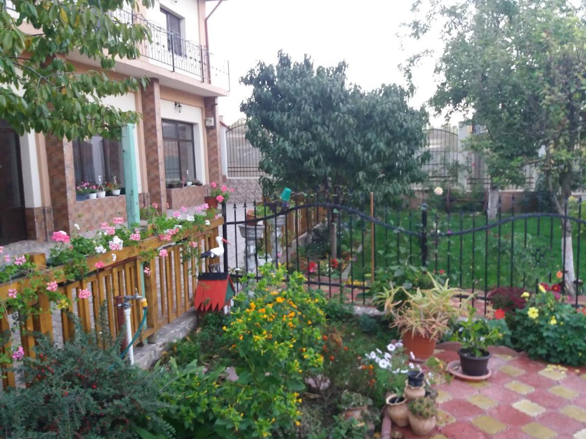 Pensiunea Ciresul Alb Tulcea Exterior foto