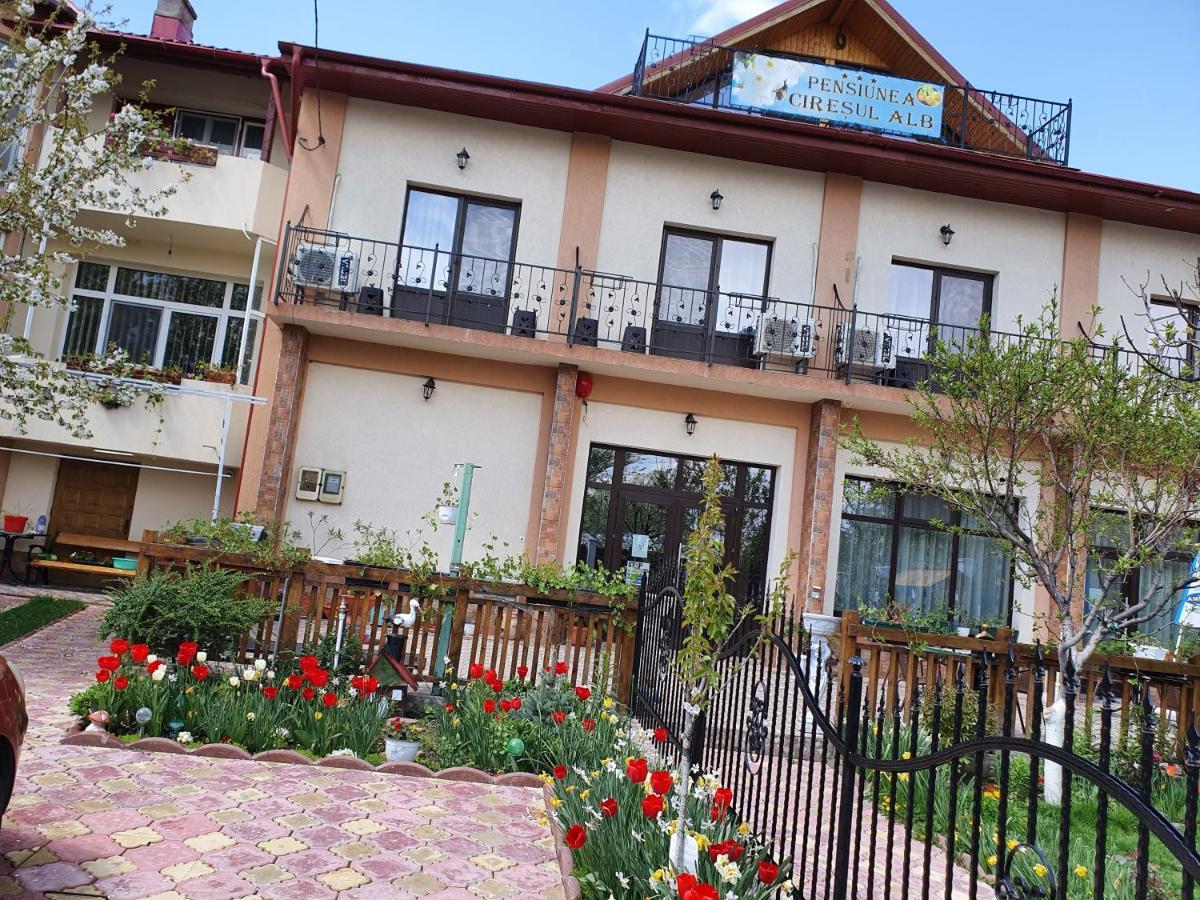 Pensiunea Ciresul Alb Tulcea Exterior foto