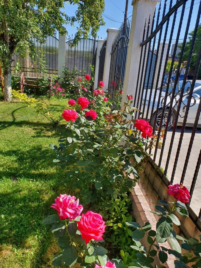 Pensiunea Ciresul Alb Tulcea Exterior foto