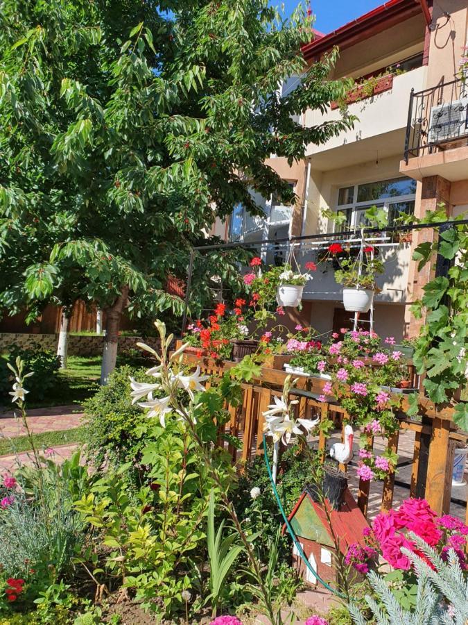 Pensiunea Ciresul Alb Tulcea Exterior foto